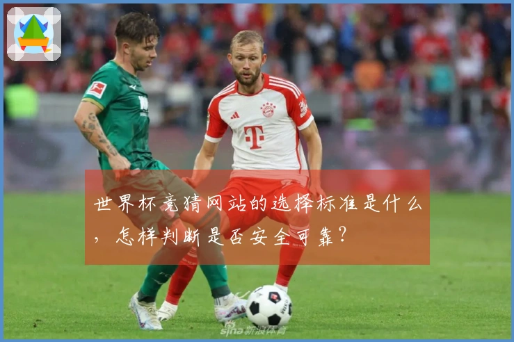 世界杯竞猜网站的选择标准是什么，怎样判断是否安全可靠？
