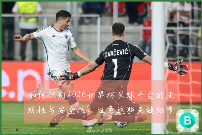 如何识别2026世界杯买球平台的正规性与安全性？注意这些关键细节！