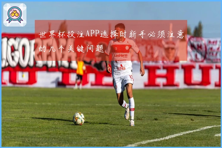 世界杯投注APP选择时新手必须注意的几个关键问题