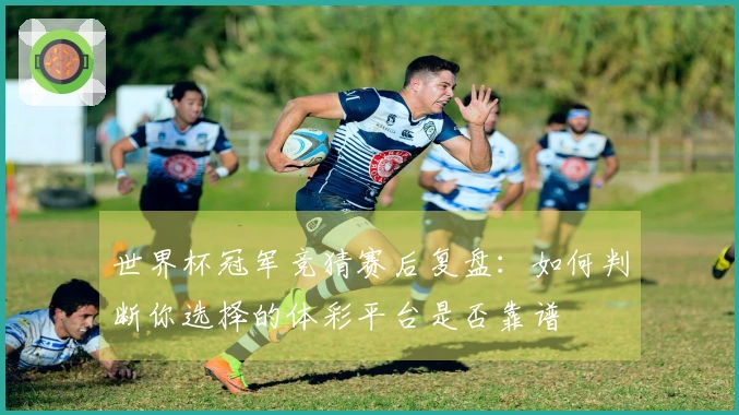 世界杯冠军竞猜赛后复盘：如何判断你选择的体彩平台是否靠谱