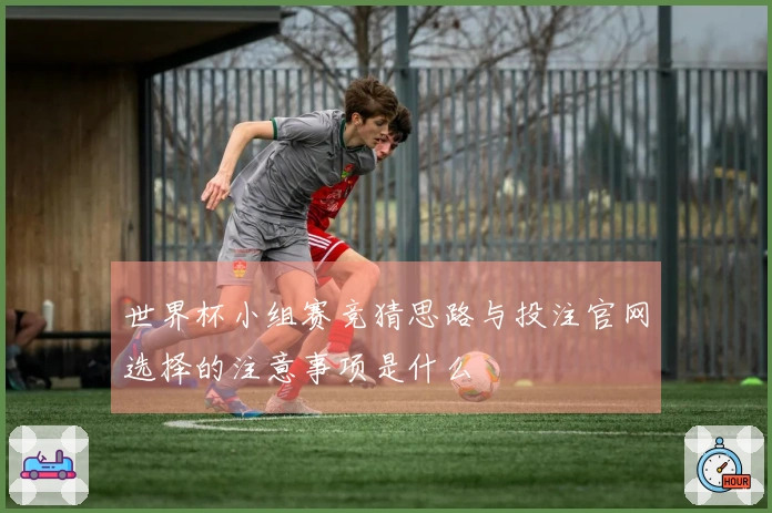 世界杯小组赛竞猜思路与投注官网选择的注意事项是什么