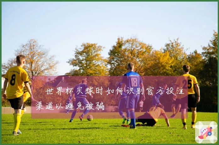 世界杯买球时如何识别官方投注渠道以避免被骗