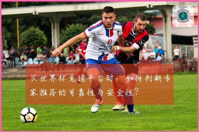 买世界杯竞猜平台时,如何判断专家推荐的可靠性与安全性?