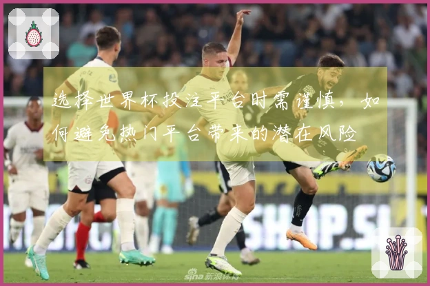 选择世界杯投注平台时需谨慎，如何避免热门平台带来的潜在风险