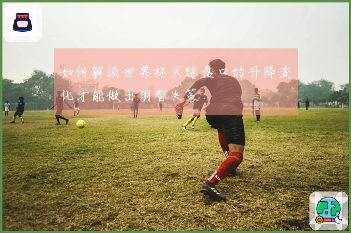 如何解读世界杯买球盘口的升降变化才能做出明智决策