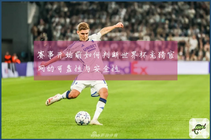 赛事开始前如何判断世界杯竞猜官网的可靠性与安全性
