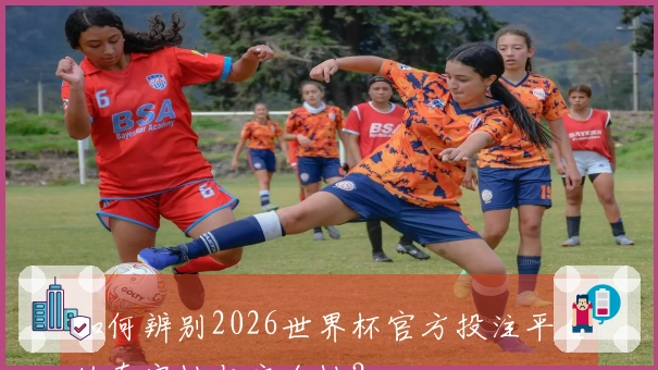 如何辨别2026世界杯官方投注平台的真实性与安全性？