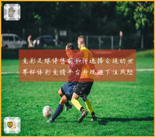 竞彩足球停售前如何选择合适的世界杯体彩竞猜平台并规避下注风险