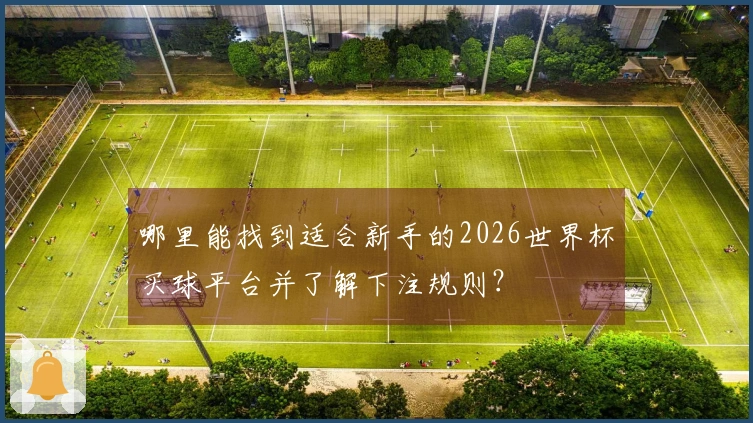 哪里能找到适合新手的2026世界杯买球平台并了解下注规则？