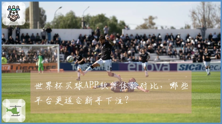 世界杯买球APP软件体验对比，哪些平台更适合新手下注？