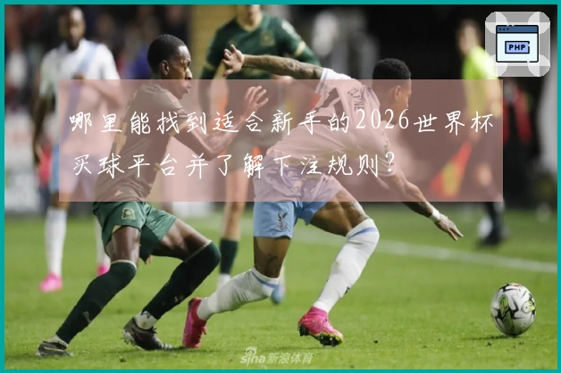 哪里能找到适合新手的2026世界杯买球平台并了解下注规则？