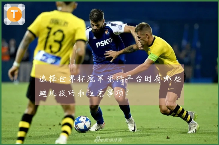 选择世界杯冠军竞猜平台时有哪些避坑技巧和注意事项？