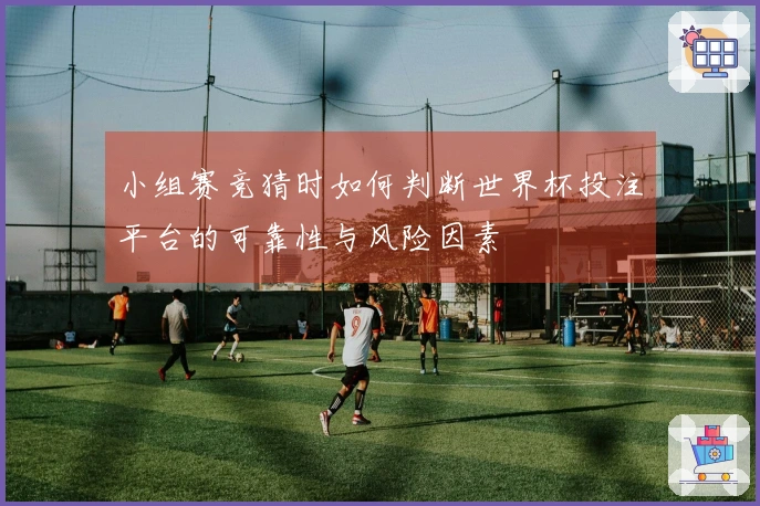 小组赛竞猜时如何判断世界杯投注平台的可靠性与风险因素