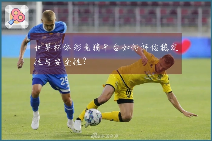 世界杯体彩竞猜平台如何评估稳定性与安全性?