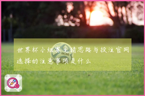 世界杯小组赛竞猜思路与投注官网选择的注意事项是什么