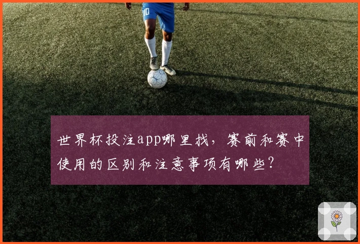 世界杯投注app哪里找，赛前和赛中使用的区别和注意事项有哪些？