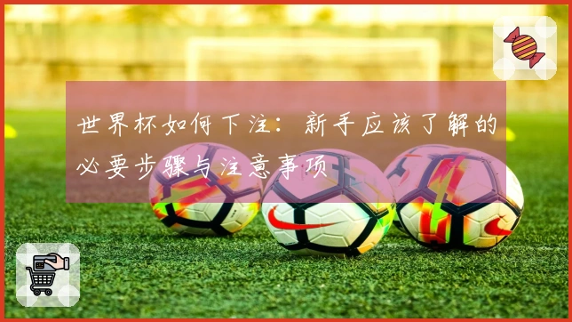 世界杯如何下注：新手应该了解的必要步骤与注意事项
