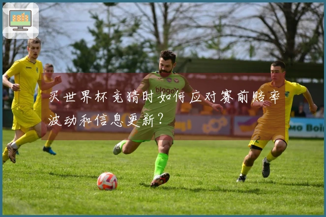 买世界杯竞猜时如何应对赛前赔率波动和信息更新？