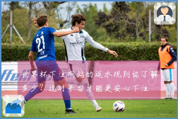 世界杯下注网站的返水规则你了解多少?选对平台才能更安心下注