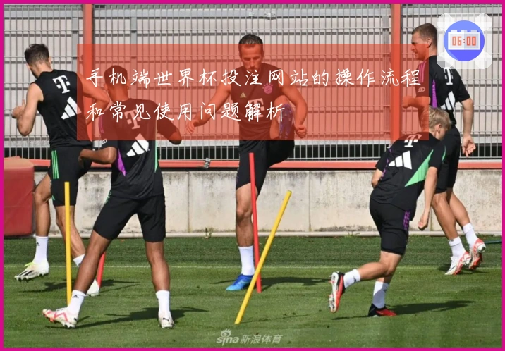 手机端世界杯投注网站的操作流程和常见使用问题解析