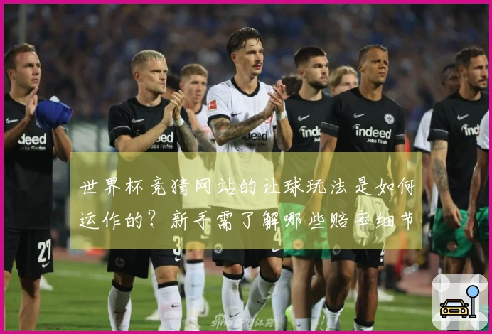 世界杯竞猜网站的让球玩法是如何运作的？新手需了解哪些赔率细节？