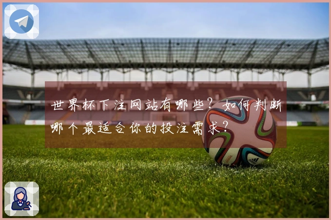 世界杯下注网站有哪些？如何判断哪个最适合你的投注需求？