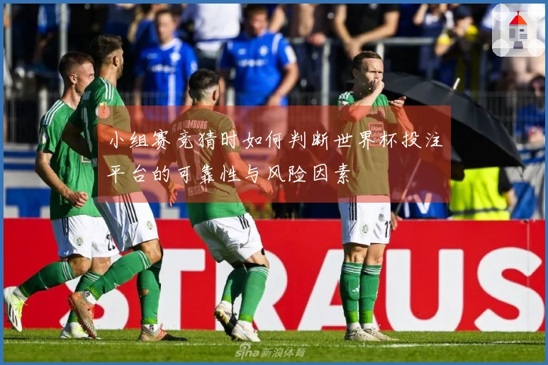 小组赛竞猜时如何判断世界杯投注平台的可靠性与风险因素