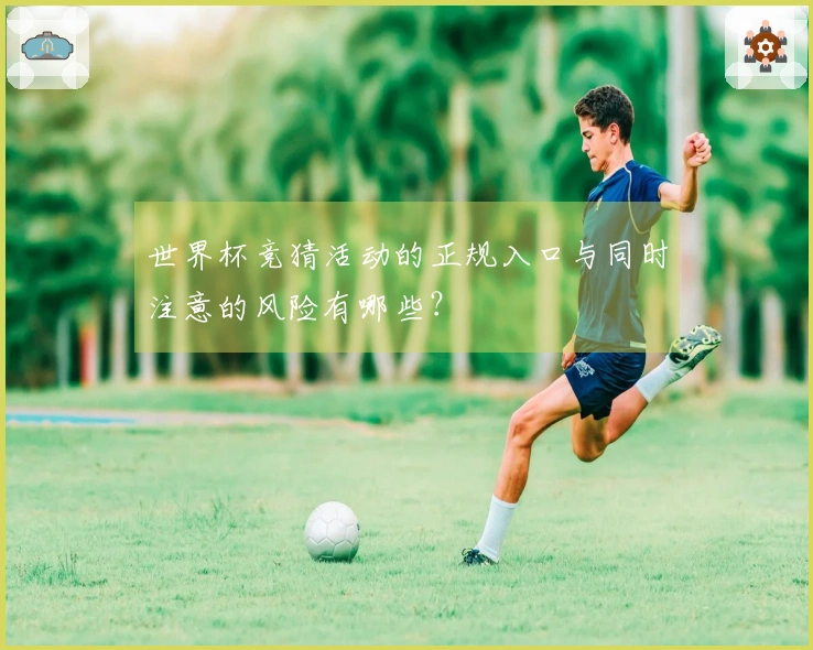 世界杯竞猜活动的正规入口与同时注意的风险有哪些？
