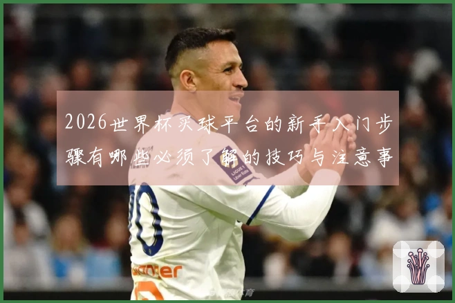 2026世界杯买球平台的新手入门步骤有哪些必须了解的技巧与注意事项