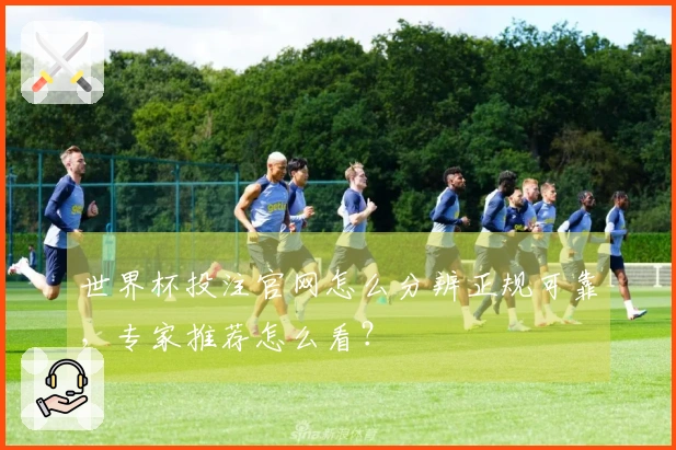 世界杯投注官网怎么分辨正规可靠，专家推荐怎么看？