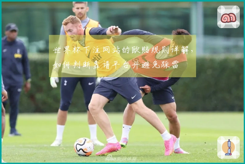 世界杯下注网站的欧赔规则详解，如何判断靠谱平台并避免踩雷
