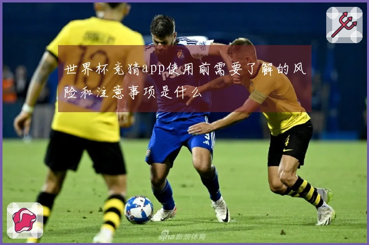 世界杯竞猜app使用前需要了解的风险和注意事项是什么