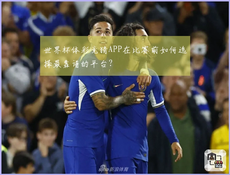 世界杯体彩竞猜APP在比赛前如何选择最靠谱的平台？