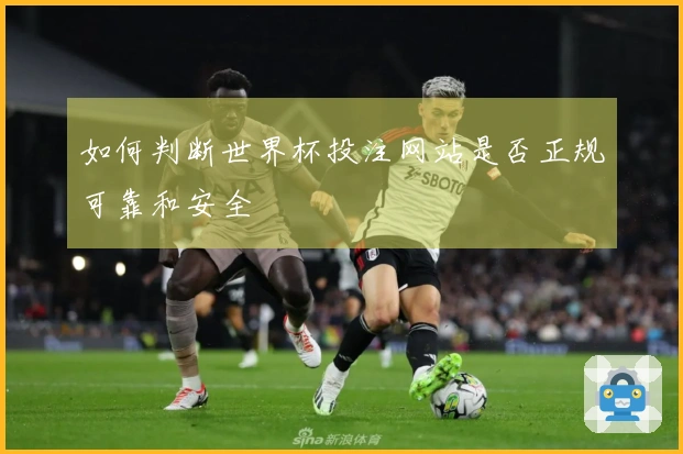 如何判断世界杯投注网站是否正规可靠和安全