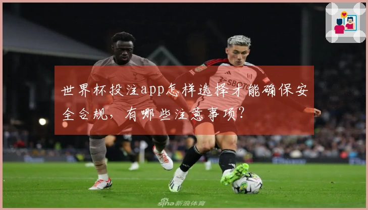 世界杯投注app怎样选择才能确保安全合规，有哪些注意事项？