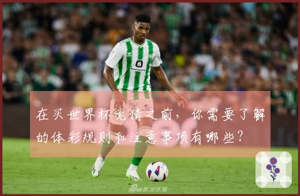 在买世界杯竞猜之前，你需要了解的体彩规则和注意事项有哪些？