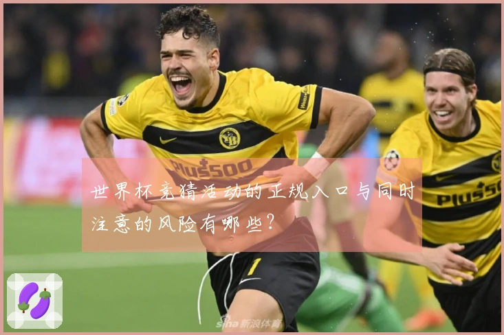 世界杯竞猜活动的正规入口与同时注意的风险有哪些？