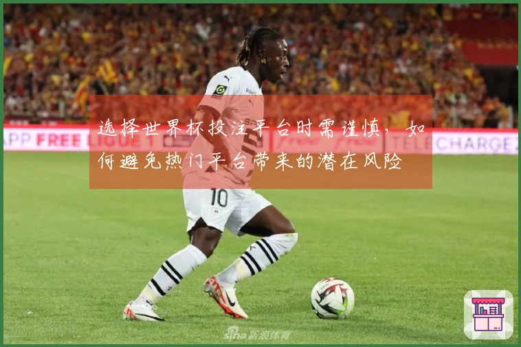 选择世界杯投注平台时需谨慎，如何避免热门平台带来的潜在风险