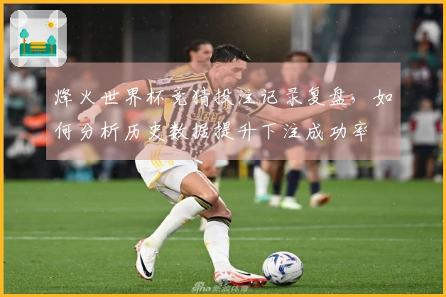 烽火世界杯竞猜投注记录复盘，如何分析历史数据提升下注成功率