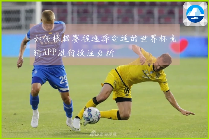 如何根据赛程选择合适的世界杯竞猜APP进行投注分析