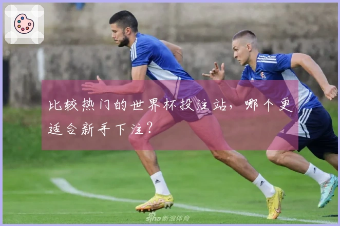 比较热门的世界杯投注站，哪个更适合新手下注？