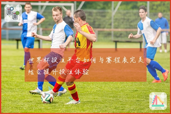 世界杯投注平台如何与赛程表完美结合提升投注体验