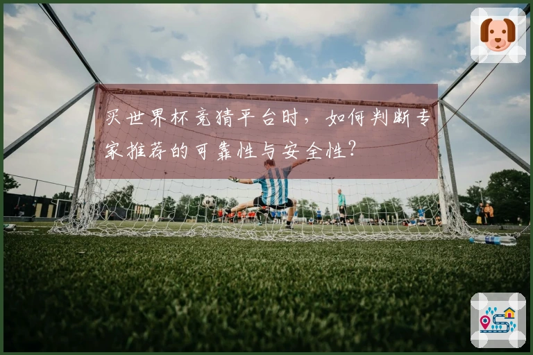 买世界杯竞猜平台时，如何判断专家推荐的可靠性与安全性？