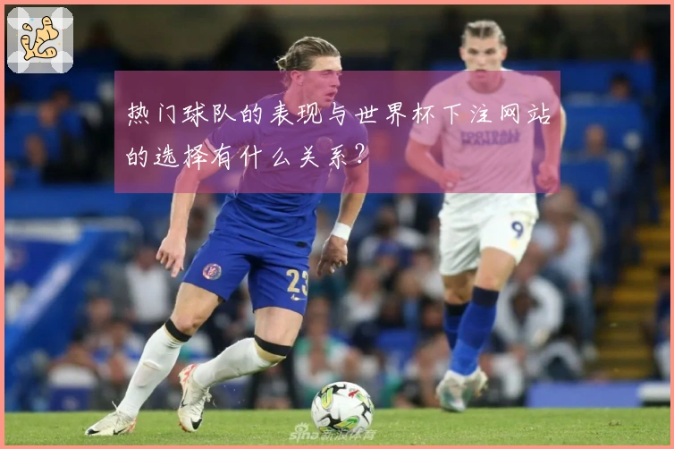 热门球队的表现与世界杯下注网站的选择有什么关系？